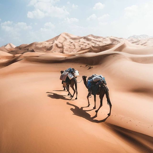 ERrgsmar désert marocain